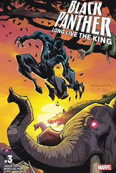Black Panther: Long Live the King (2017) #3
