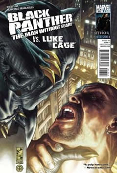 Black Panther: The Man Without Fear (2011) #517