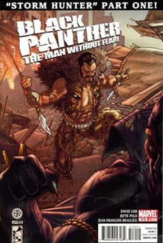 Black Panther: The Man Without Fear (2011) #519