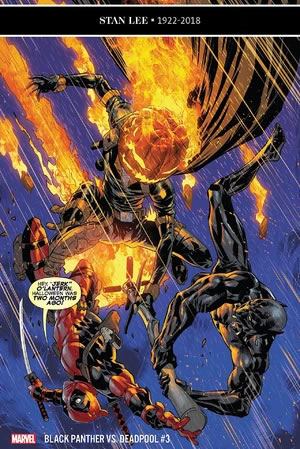 Black Panther vs. Deadpool (2018) #3