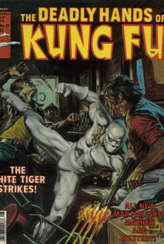Deadly Hands of Kung Fu (1974) #27