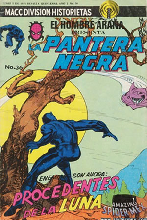 El Hombre AraÃ±a Presenta Pantera Negra (1974) #36