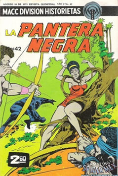 La Pantera Negra (1972) #42