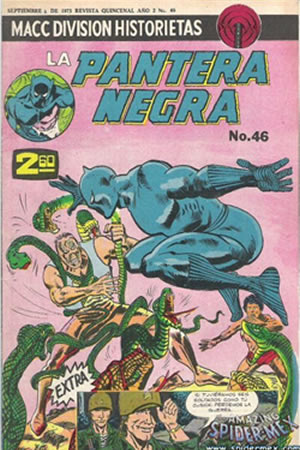 La Pantera Negra (1972) #46