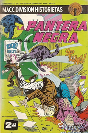 La Pantera Negra (1972) #48