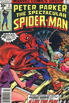 Peter Parker, The Spectacular Spider-Man (1976) #11