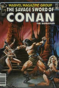 The Savage Sword of Conan (1974) #68 [A Story]