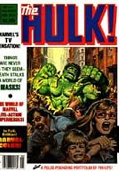 The Hulk! (1978) #16