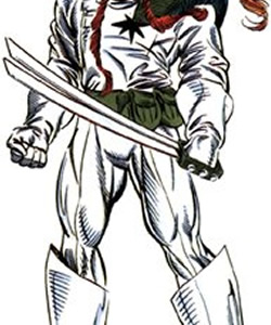 Shatterstar's Swords