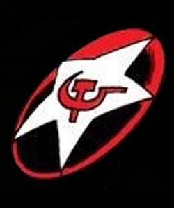 Steel Guardians Shield