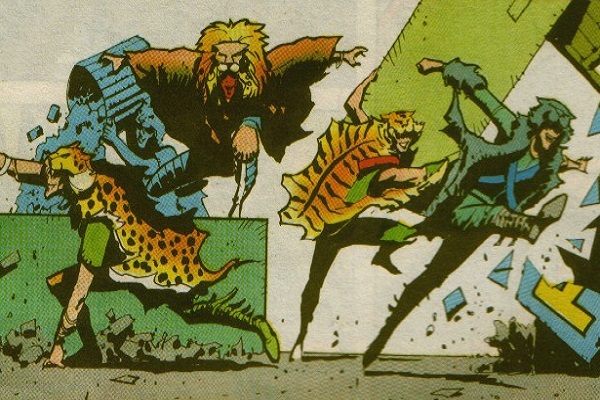 Wildcats (Earth-5555)