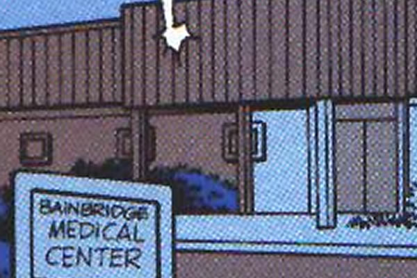 Bainbridge Island, Washington, USA