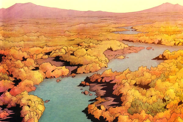 Pine Barrens, New Jersey, USA