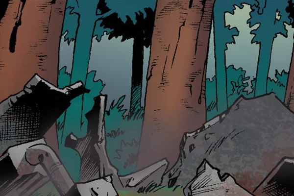 Redwood National Park, California, USA